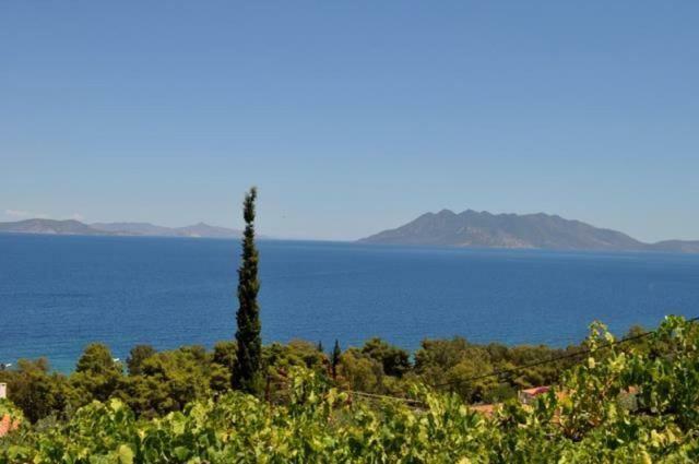 Villa Krassi Epidaurus Екстериор снимка