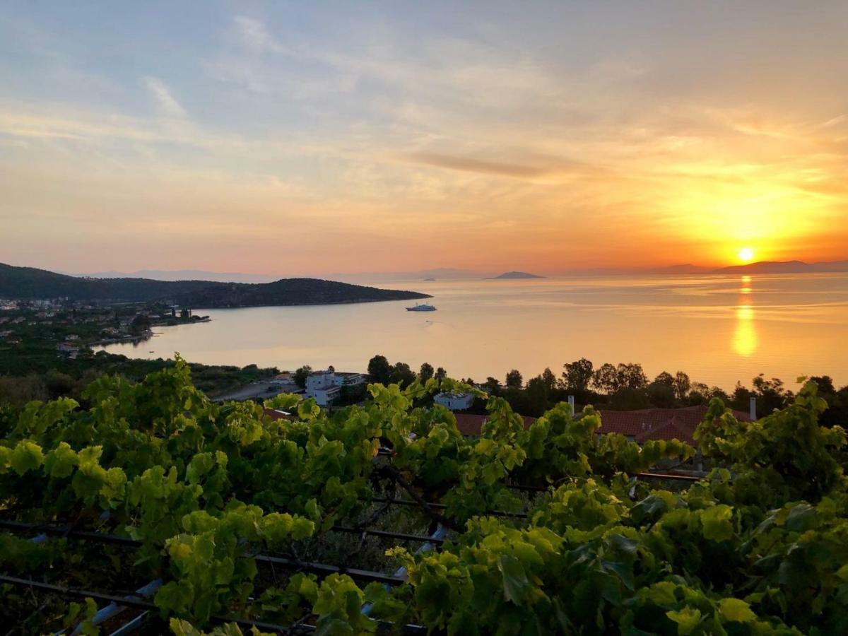 Villa Krassi Epidaurus Екстериор снимка